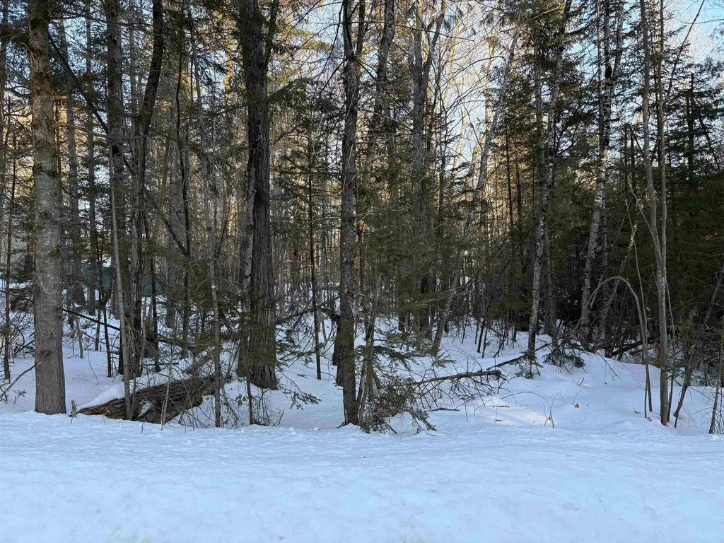 37446 North Shore/washington Drive Barnstead NH 03225