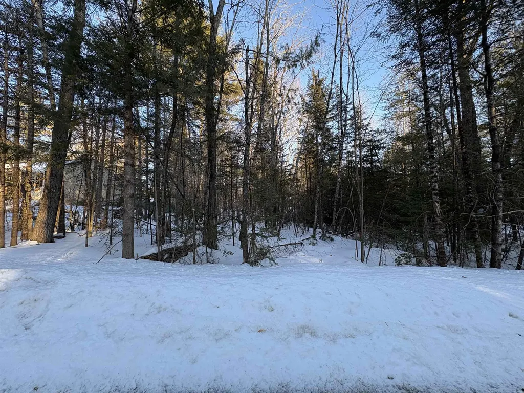 37446 North Shore/washington Drive Barnstead NH 03225