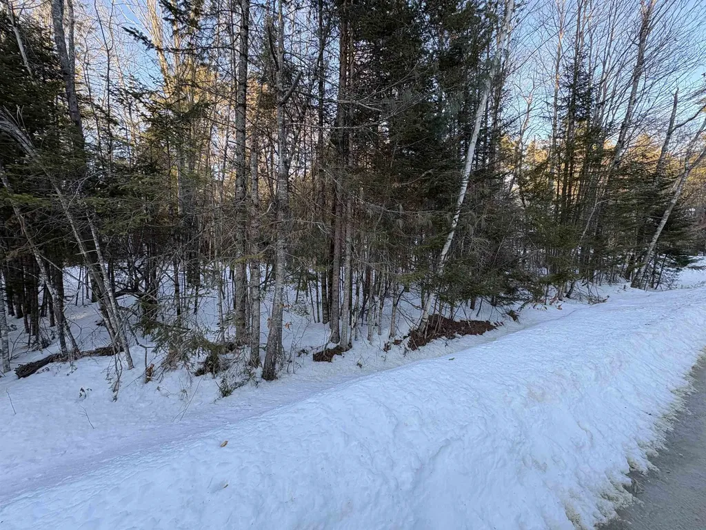 37446 North Shore/washington Drive Barnstead NH 03225