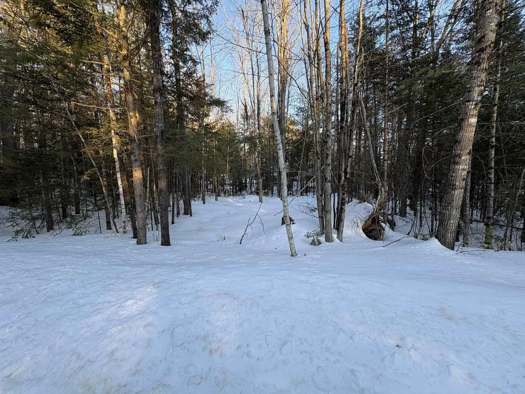 37446 North Shore/washington Drive Barnstead NH 03225