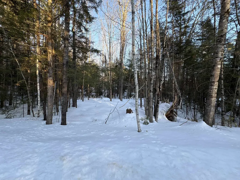 37446 North Shore/washington Drive Barnstead NH 03225