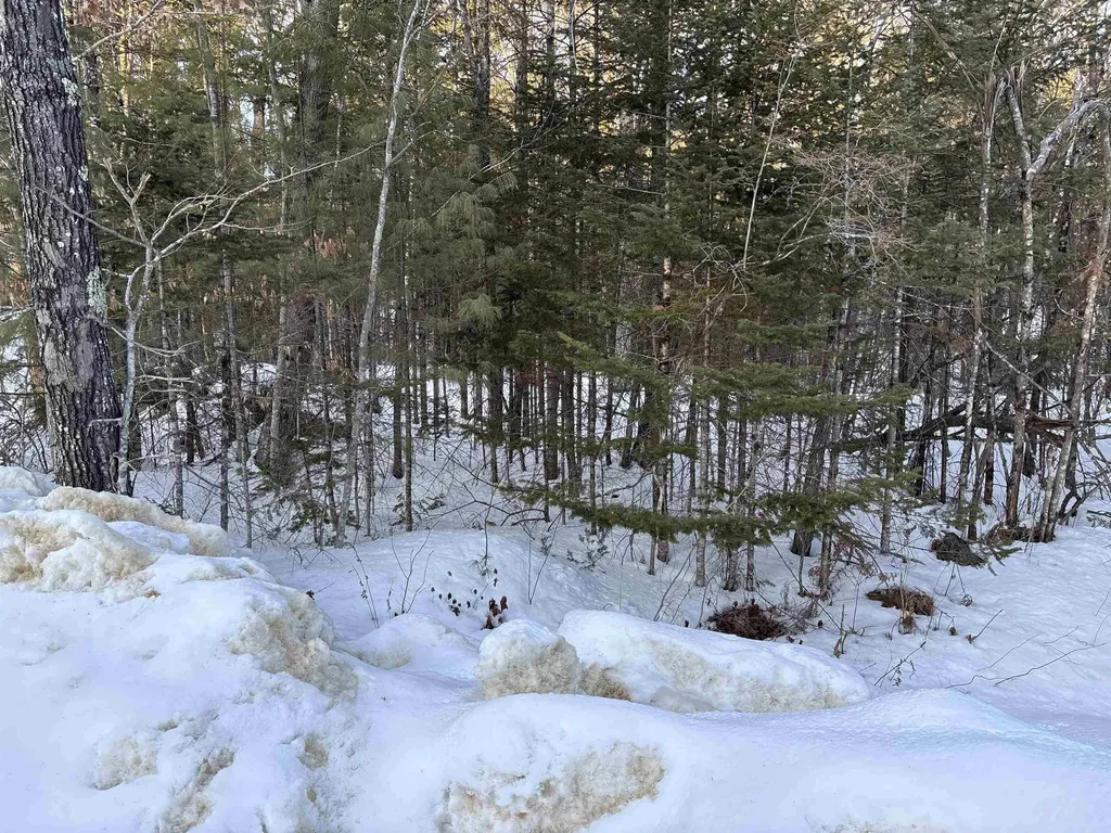 37446 North Shore/washington Drive Barnstead NH 03225