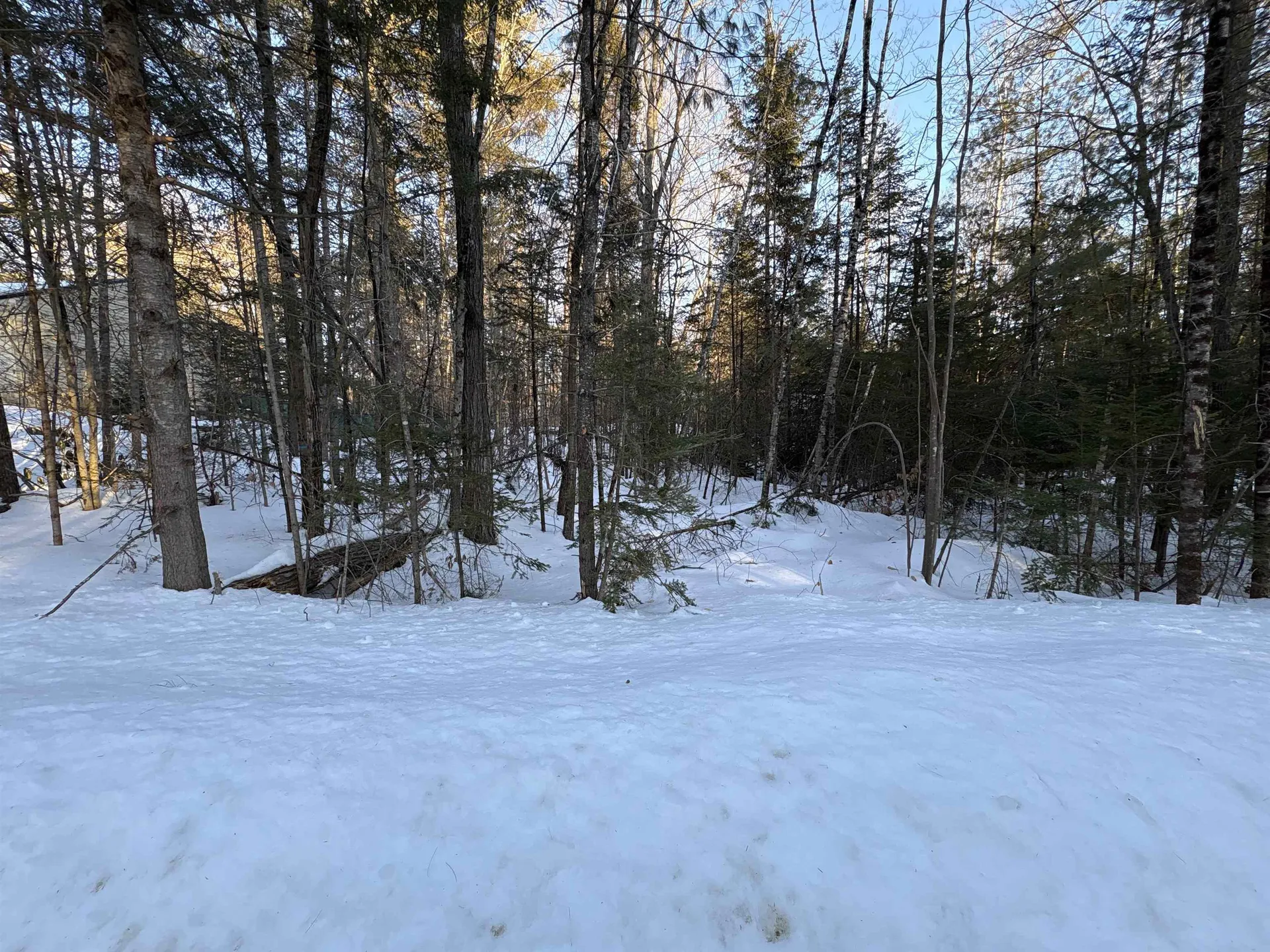 37446 North Shore/washington Drive Barnstead NH 03225