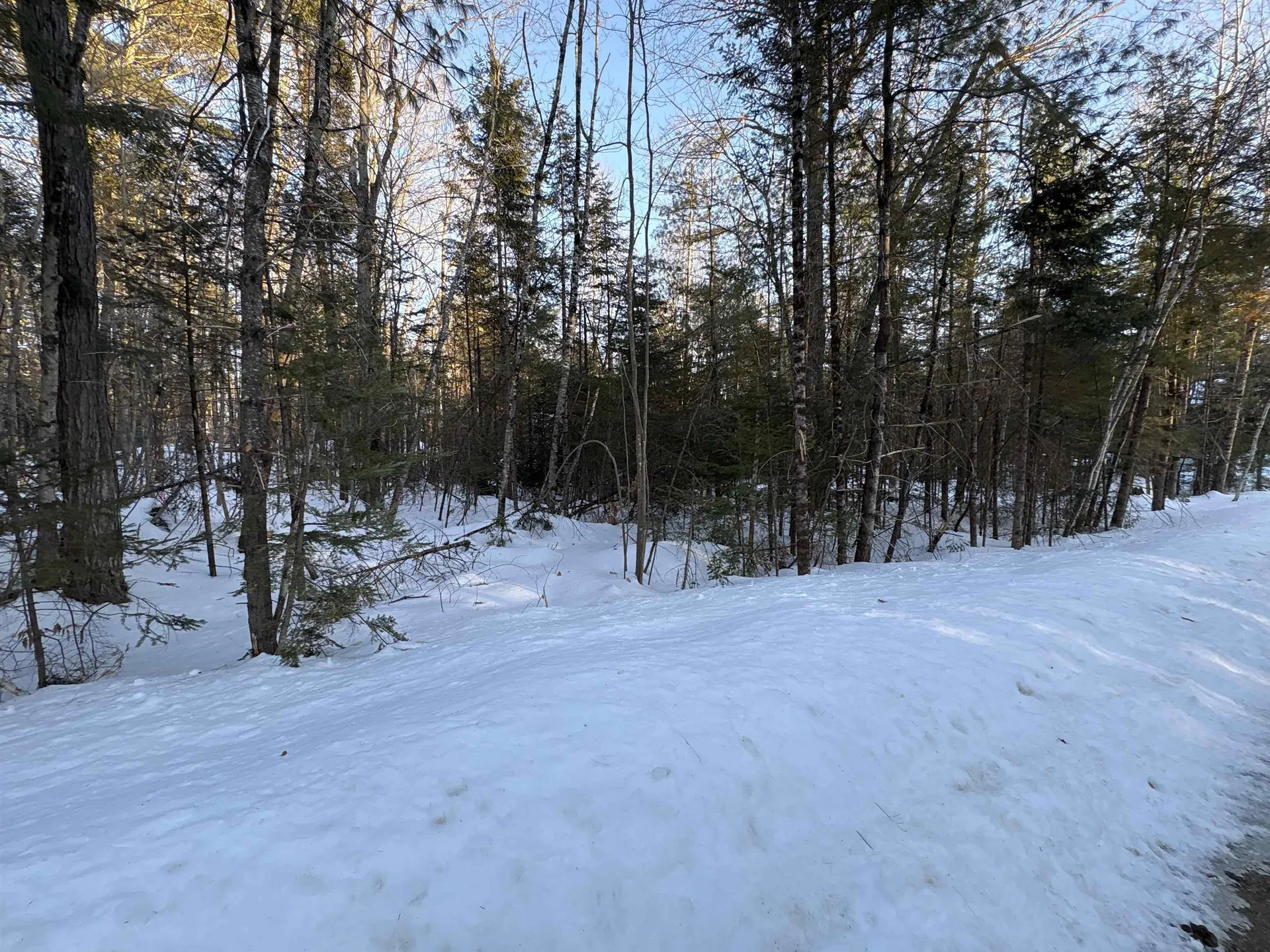 37446 North Shore/washington Drive Barnstead NH 03225