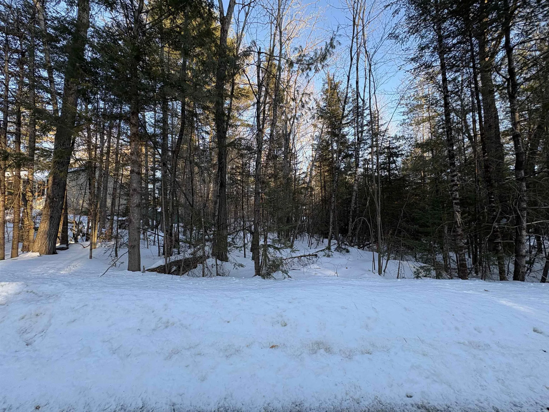 37446 North Shore/washington Drive Barnstead NH 03225