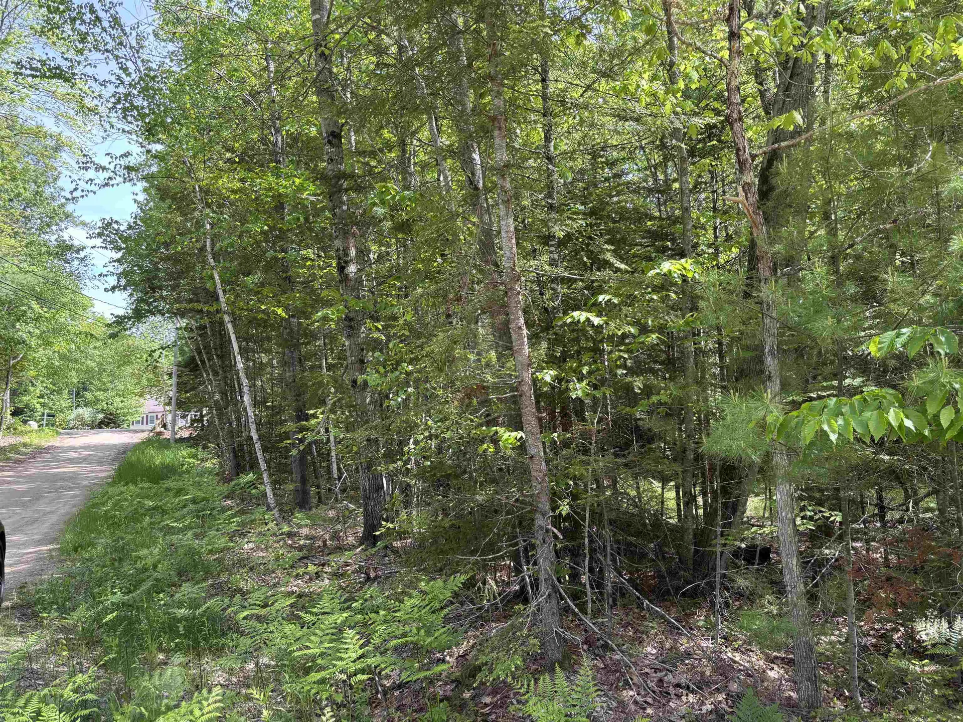 37446 North Shore/washington Drive Barnstead NH 03225