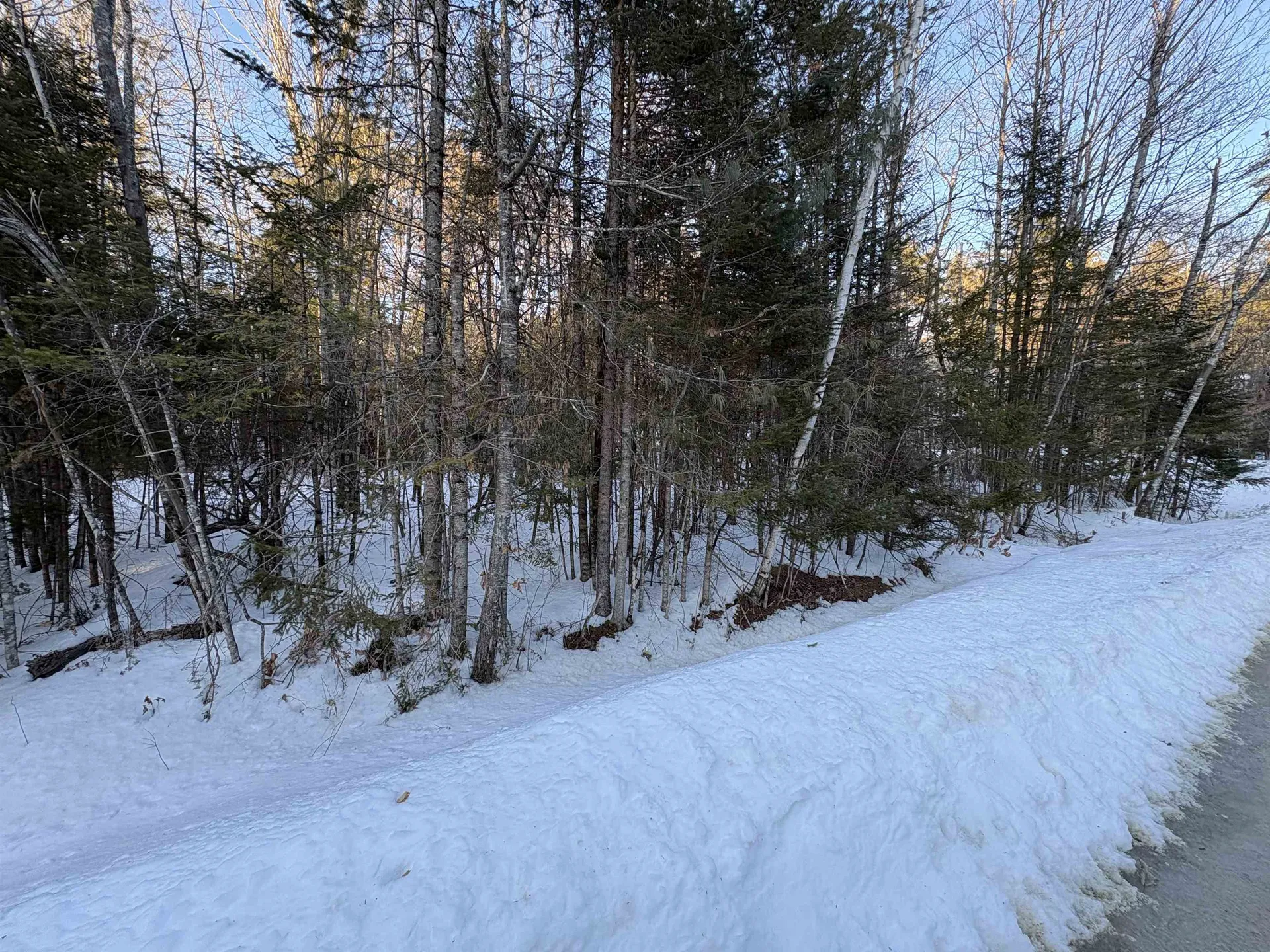 37446 North Shore/washington Drive Barnstead NH 03225