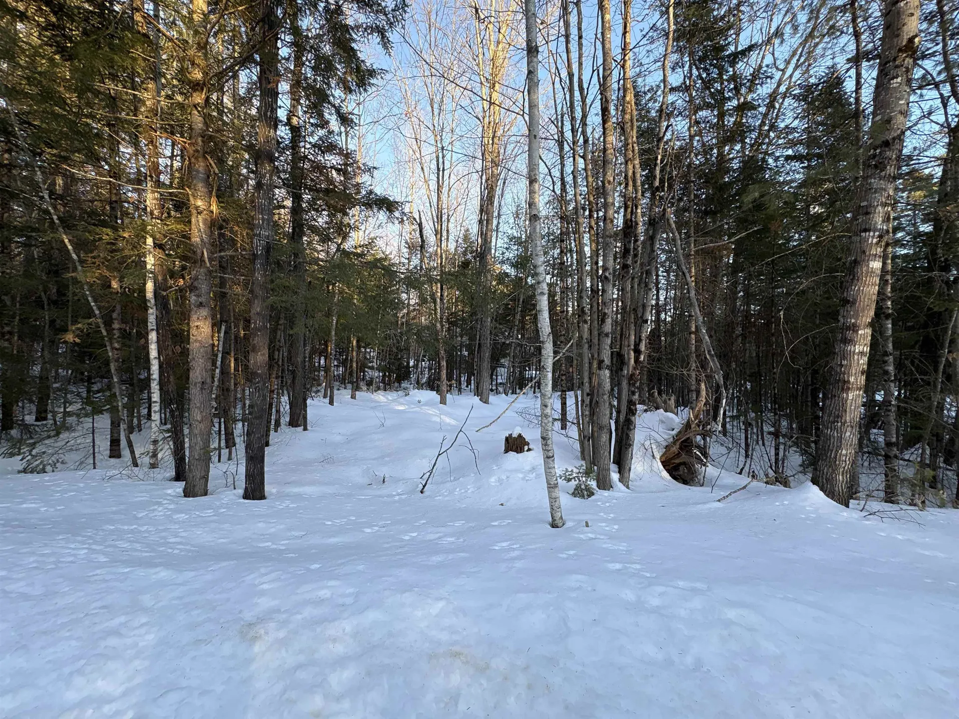 37446 North Shore/washington Drive Barnstead NH 03225