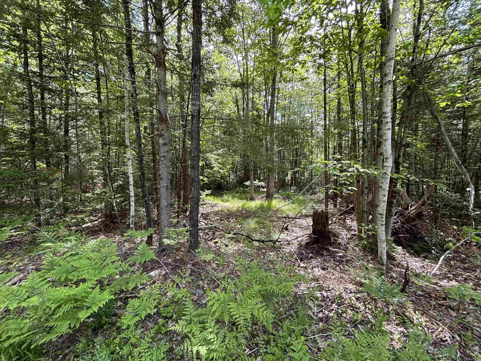 37446 North Shore/washington Drive Barnstead NH 03225