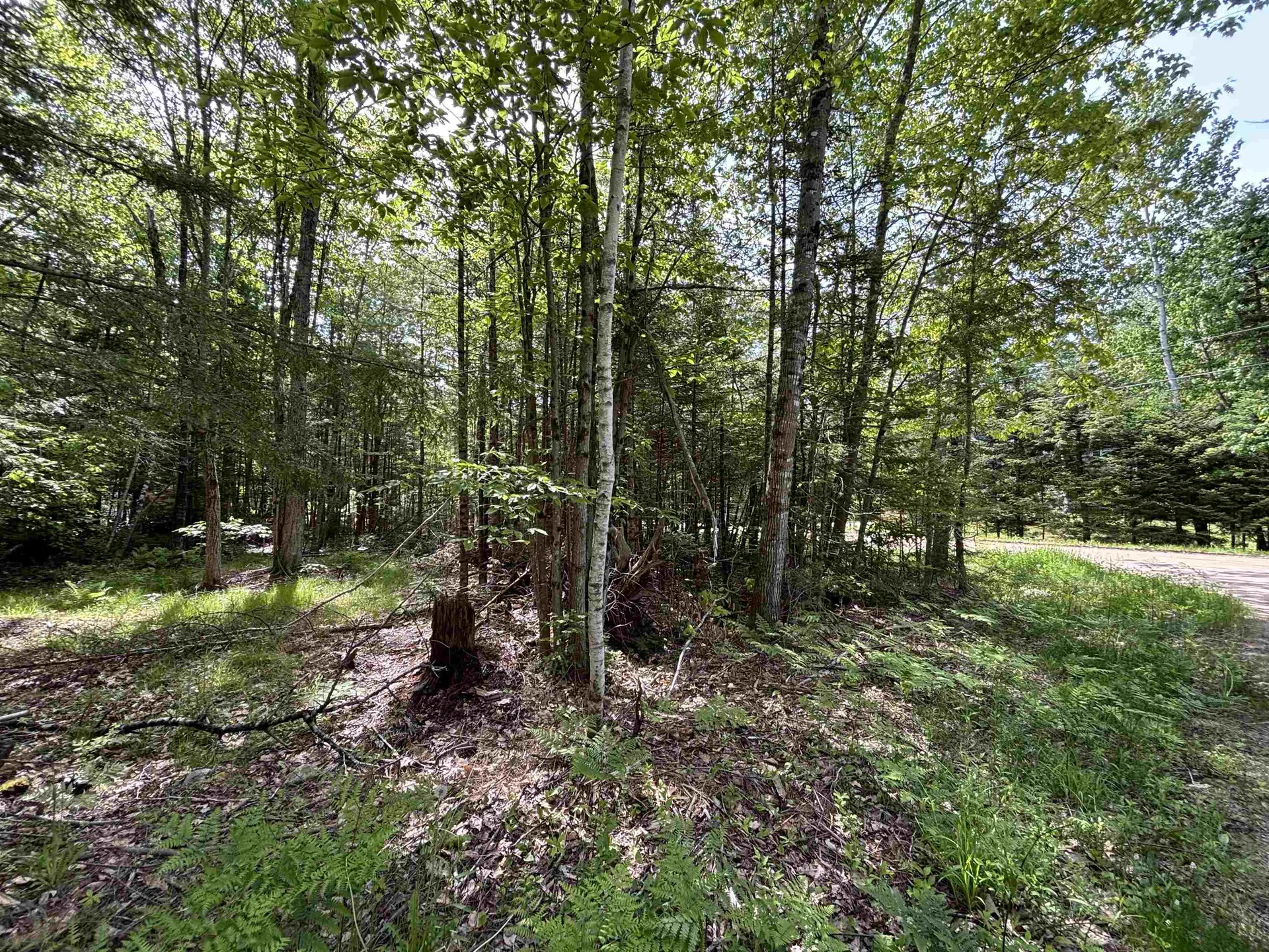 37446 North Shore/washington Drive Barnstead NH 03225