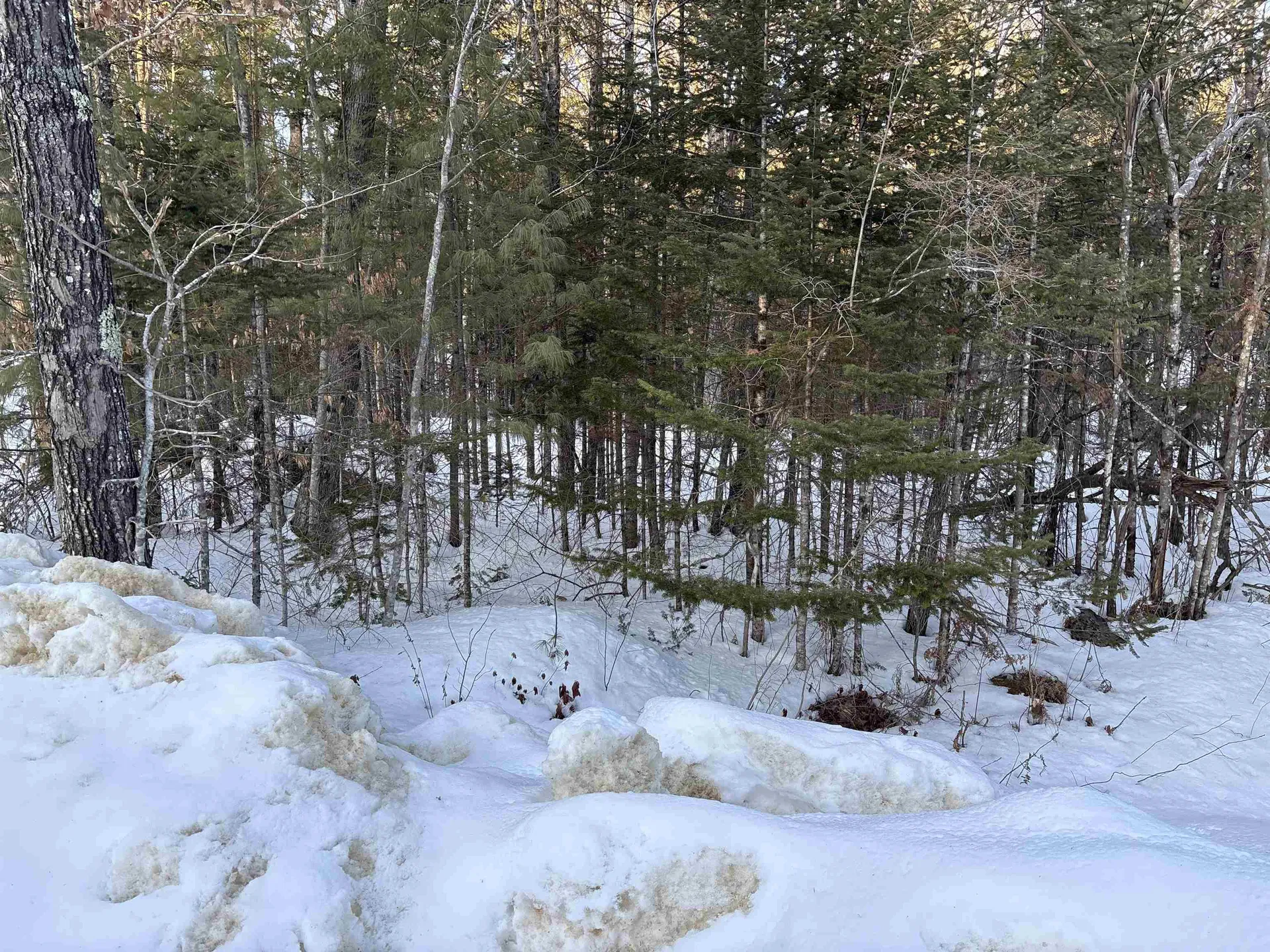 37446 North Shore/washington Drive Barnstead NH 03225