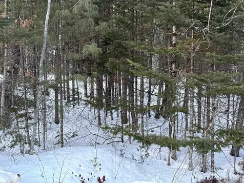 37446 North Shore/washington Drive Barnstead NH 03225