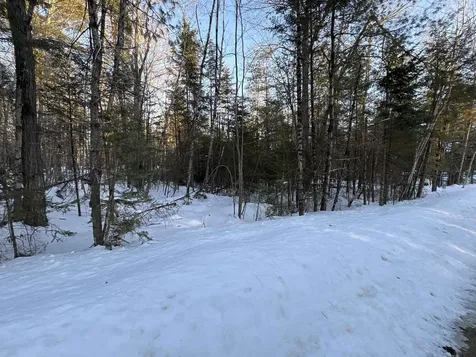 37446 North Shore/washington Drive Barnstead NH 03225