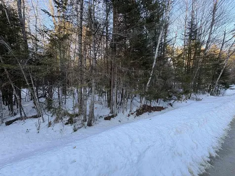 37446 North Shore/washington Drive Barnstead NH 03225