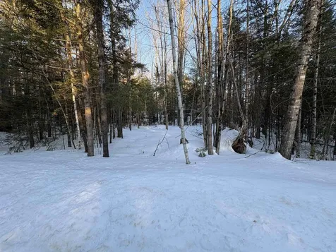 37446 North Shore/washington Drive Barnstead NH 03225