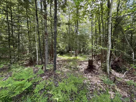 37446 North Shore/washington Drive Barnstead NH 03225