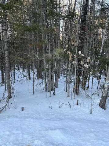 37446 North Shore/washington Drive Barnstead NH 03225