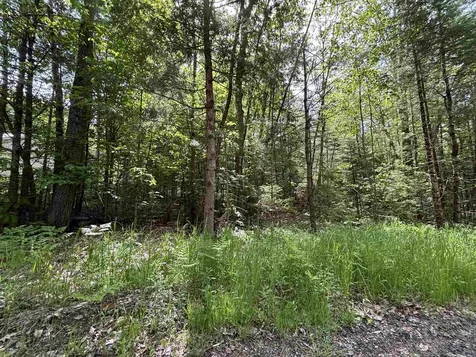 37446 North Shore/washington Drive Barnstead NH 03225