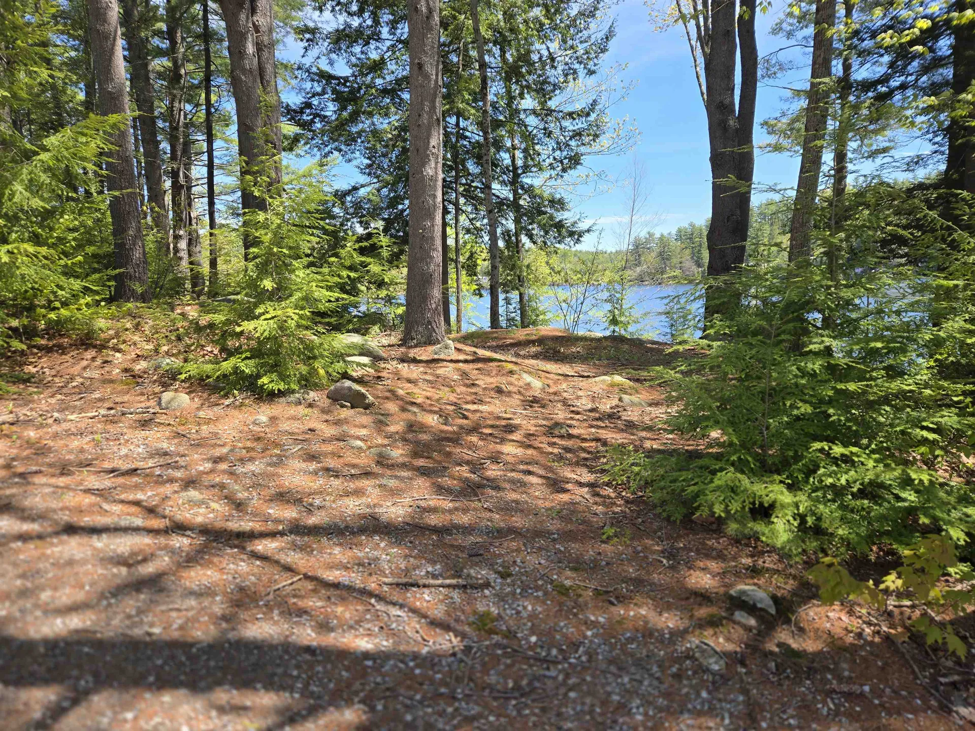 35 Collins Landing Road Weare NH 03281