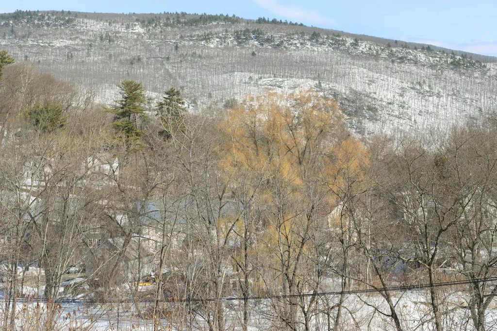 15 West Street Brattleboro VT 05301