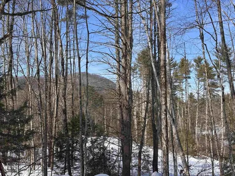 M409 L66 Old Turnpike Road Richmond NH 03470