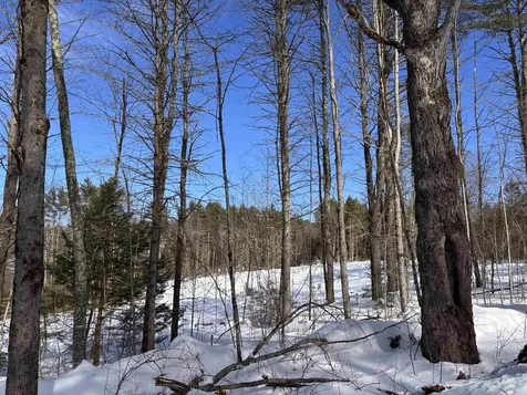 M409 L66 Old Turnpike Road Richmond NH 03470