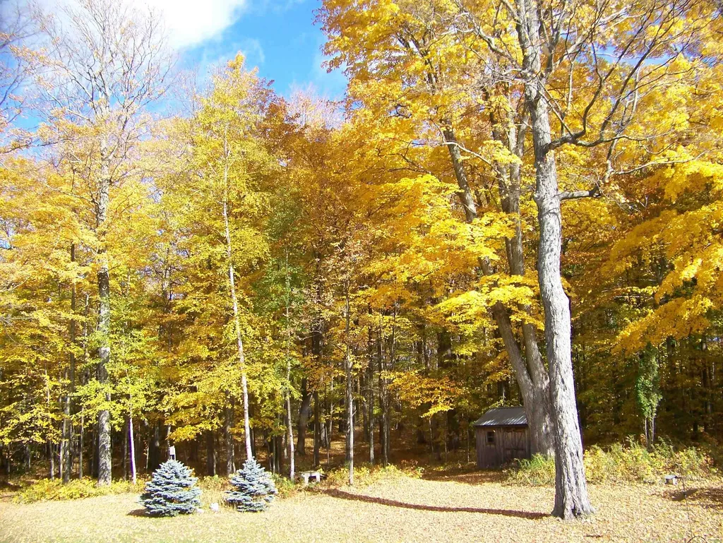 1533 Nelson Hill Road Derby VT 05829