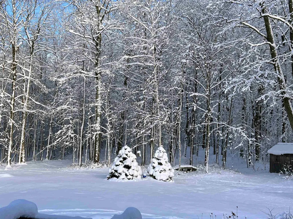 1533 Nelson Hill Road Derby VT 05829