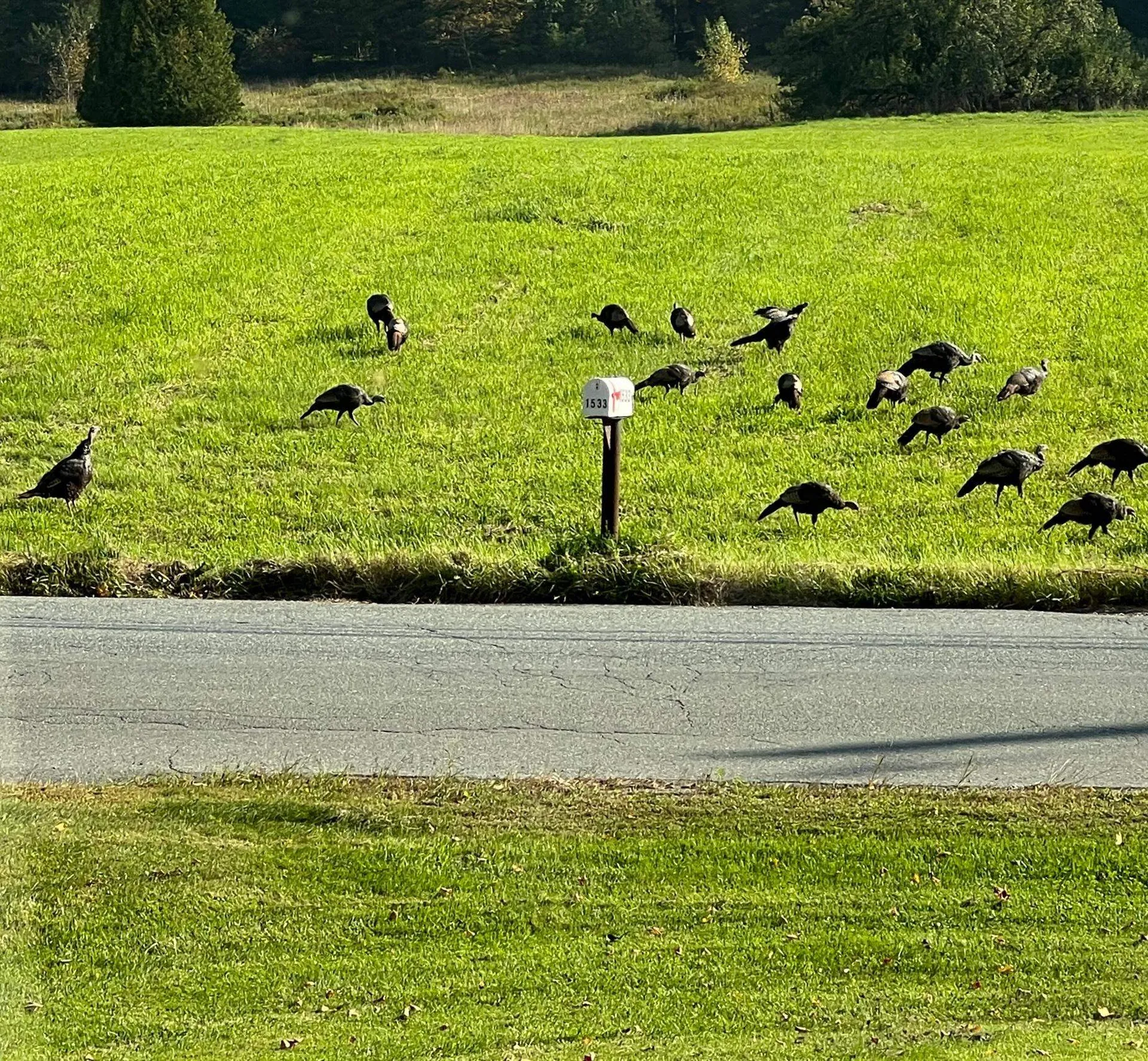 1533 Nelson Hill Road Derby VT 05829