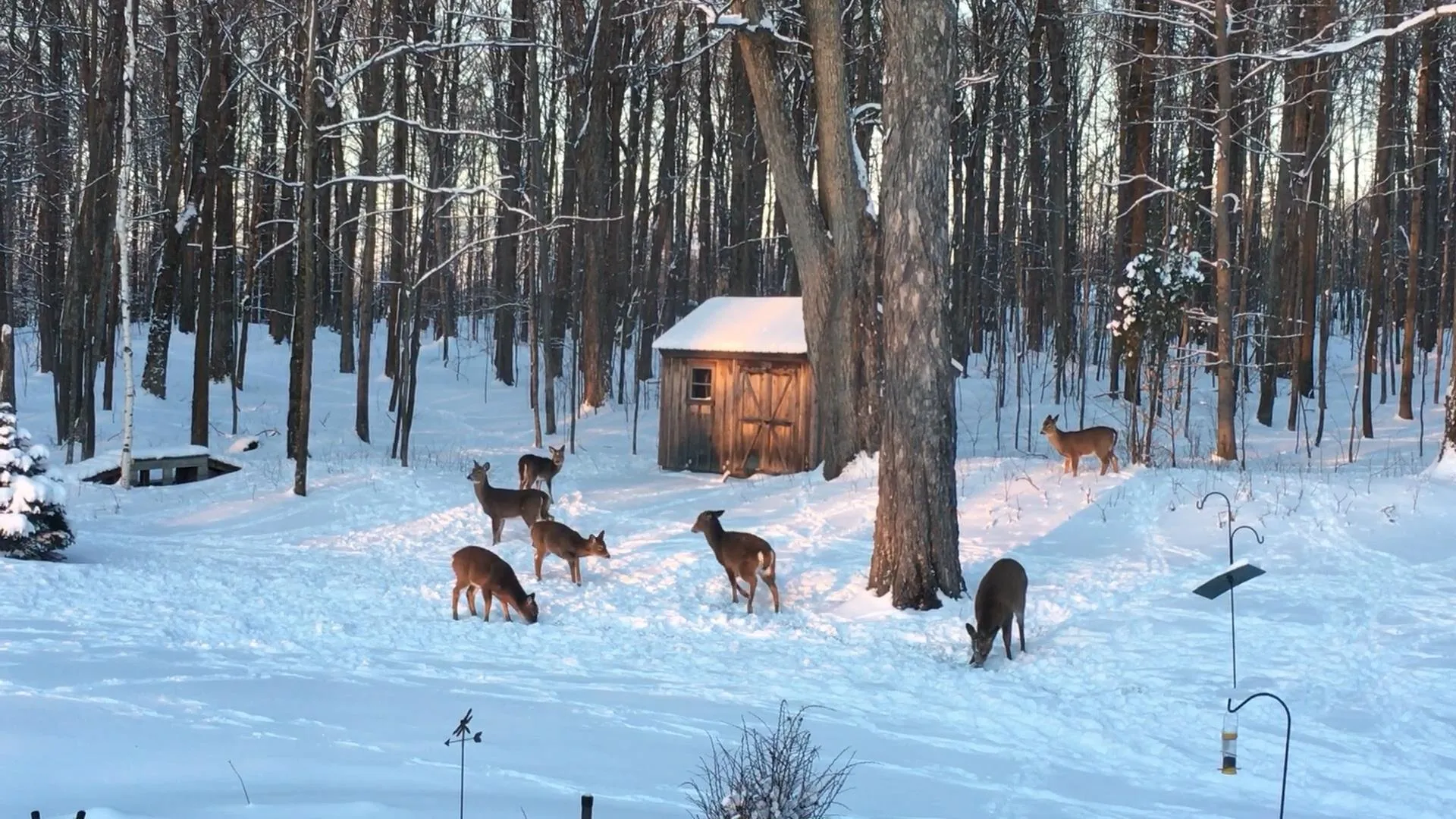 1533 Nelson Hill Road Derby VT 05829