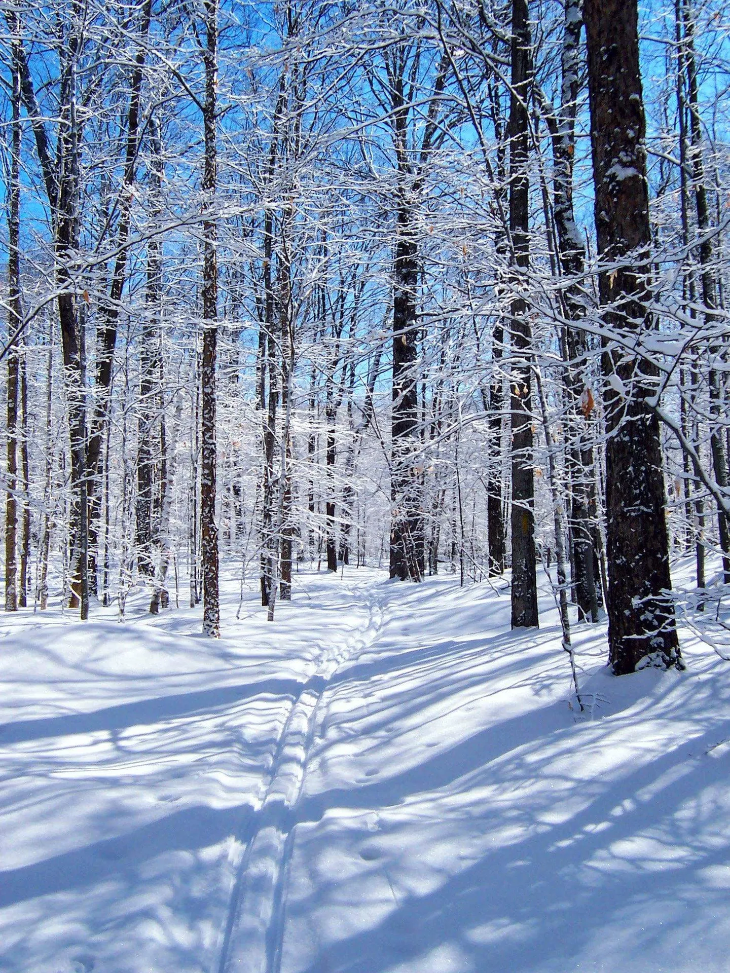 1533 Nelson Hill Road Derby VT 05829