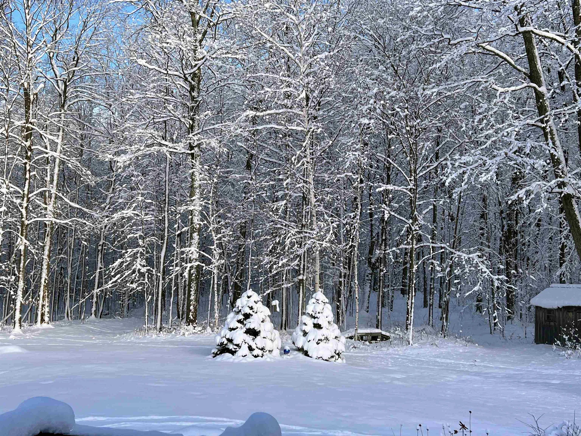 1533 Nelson Hill Road Derby VT 05829