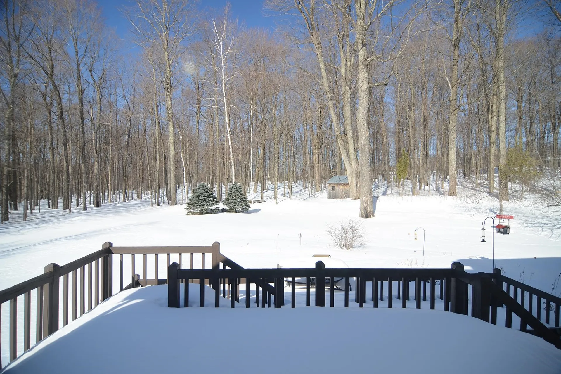 1533 Nelson Hill Road Derby VT 05829