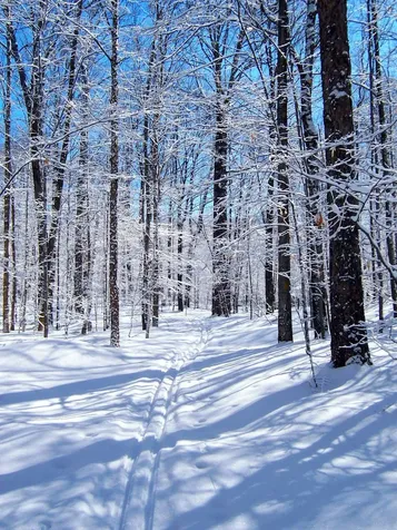 1533 Nelson Hill Road Derby VT 05829