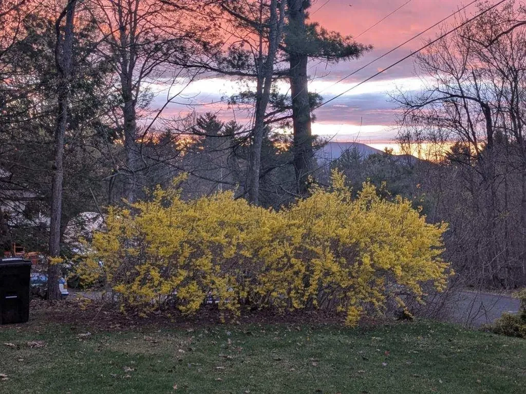 23 Pappas Road Claremont NH 03743