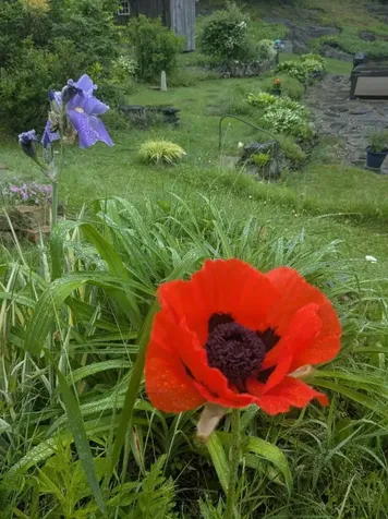 23 Pappas Road Claremont NH 03743