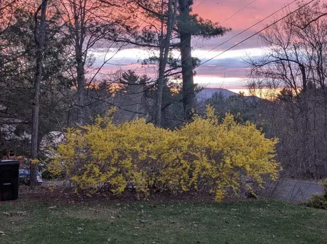 23 Pappas Road Claremont NH 03743