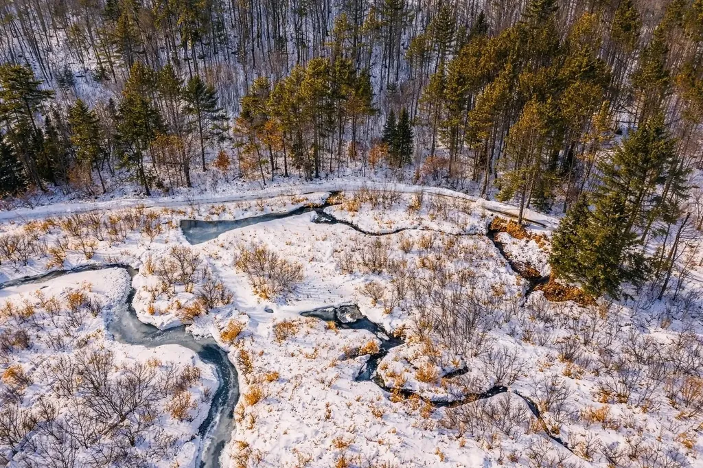 132 Wheeler Lane Lempster NH 03605