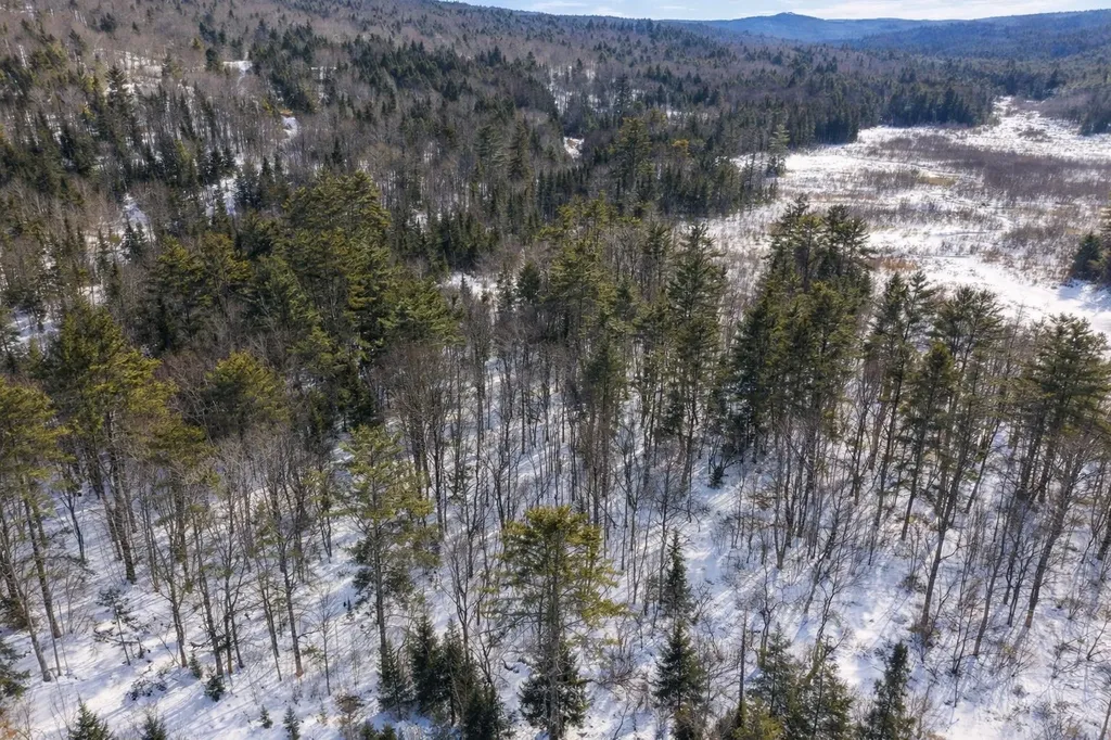 132 Wheeler Lane Lempster NH 03605