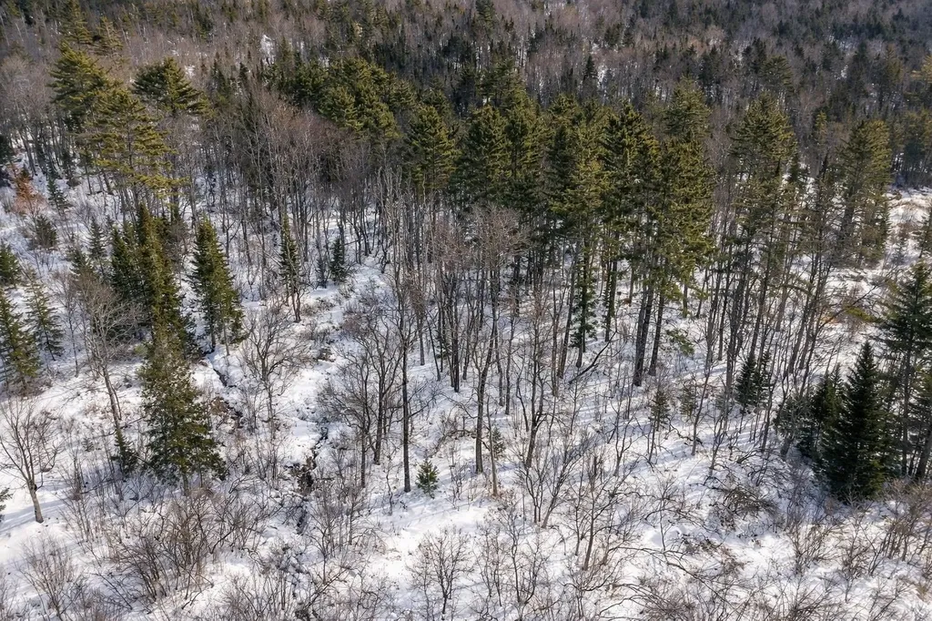 132 Wheeler Lane Lempster NH 03605