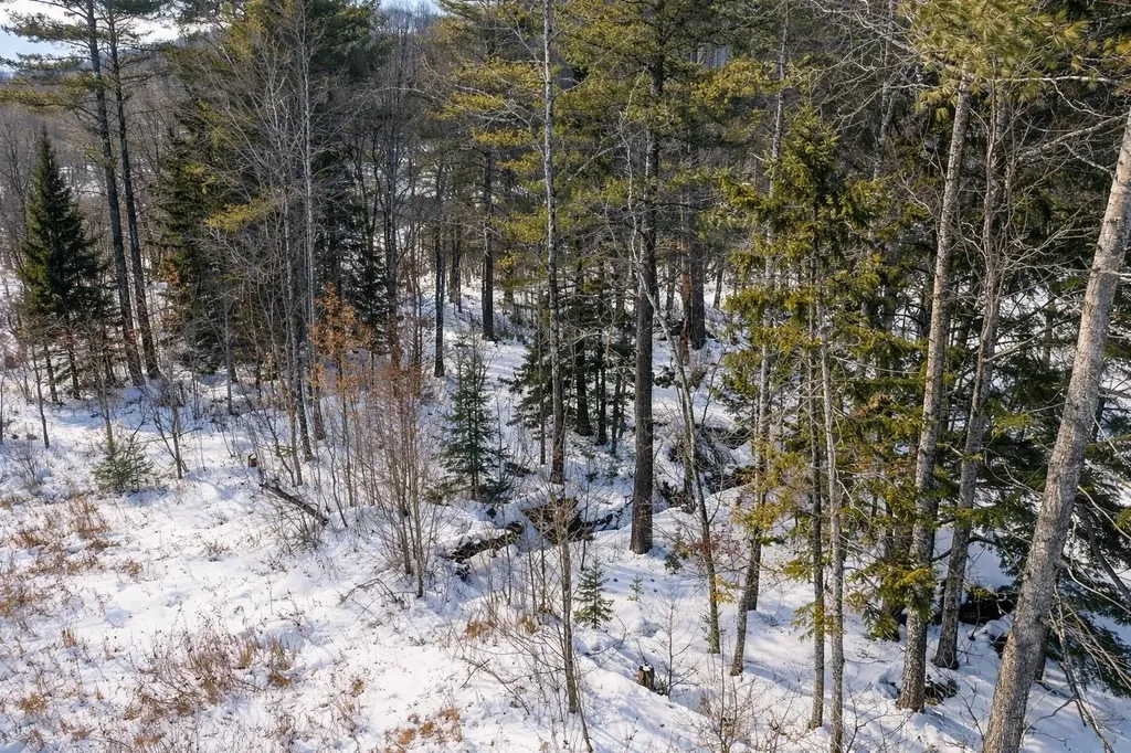 132 Wheeler Lane Lempster NH 03605