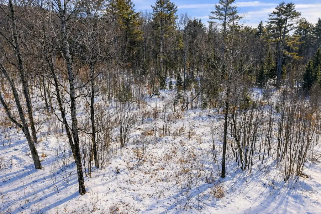 132 Wheeler Lane Lempster NH 03605