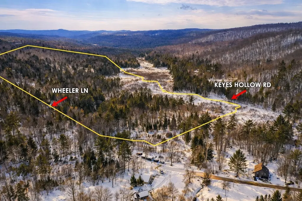 132 Wheeler Lane Lempster NH 03605