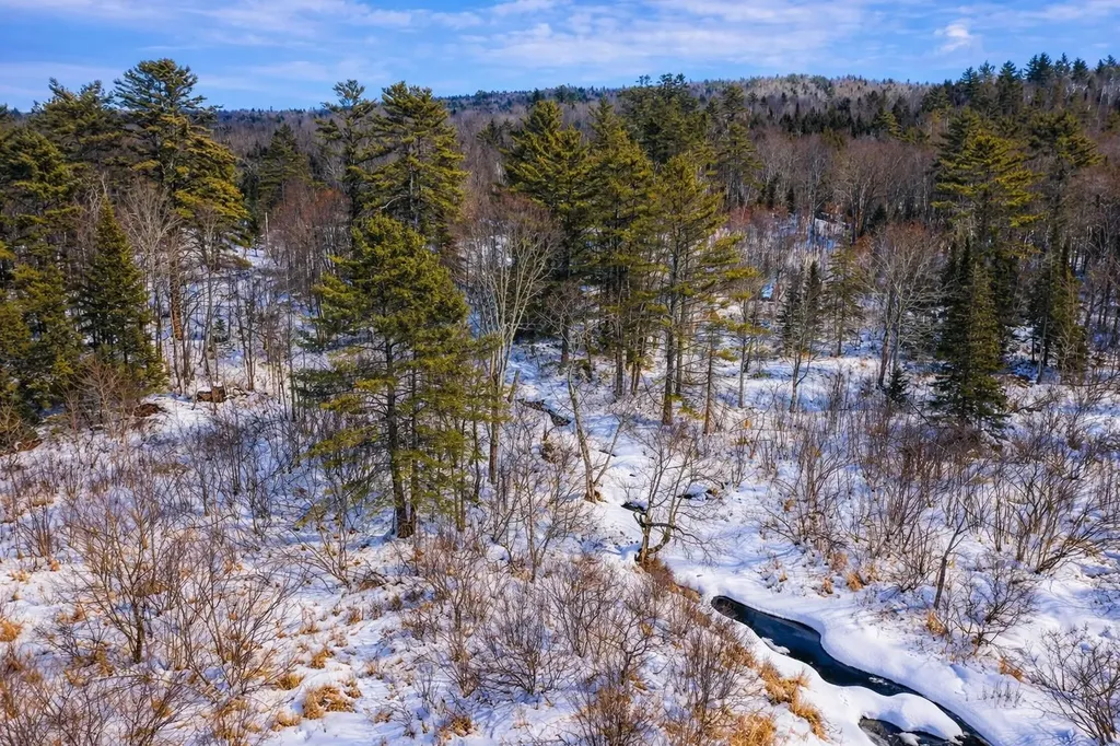 132 Wheeler Lane Lempster NH 03605