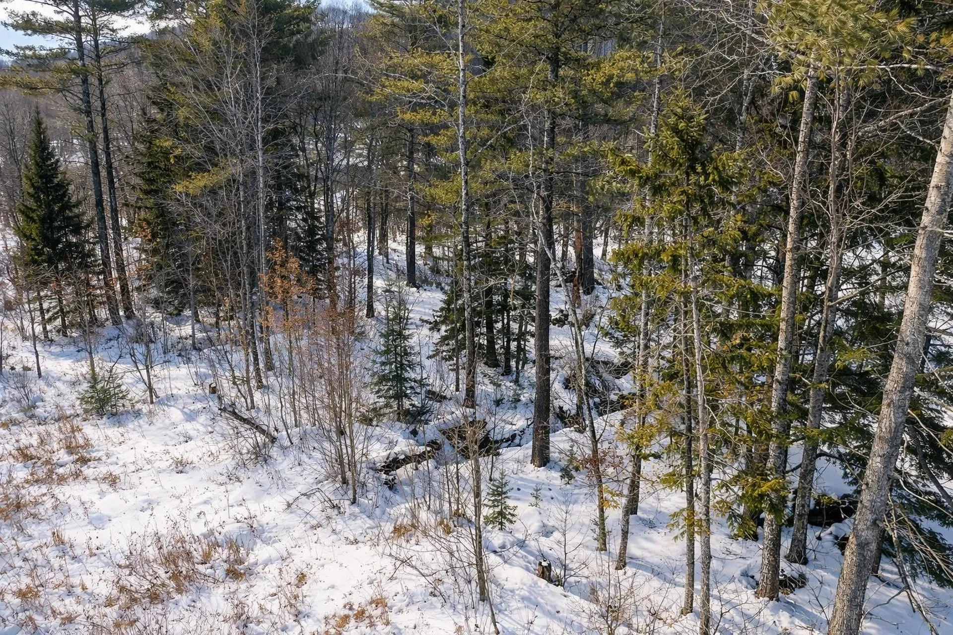 132 Wheeler Lane Lempster NH 03605