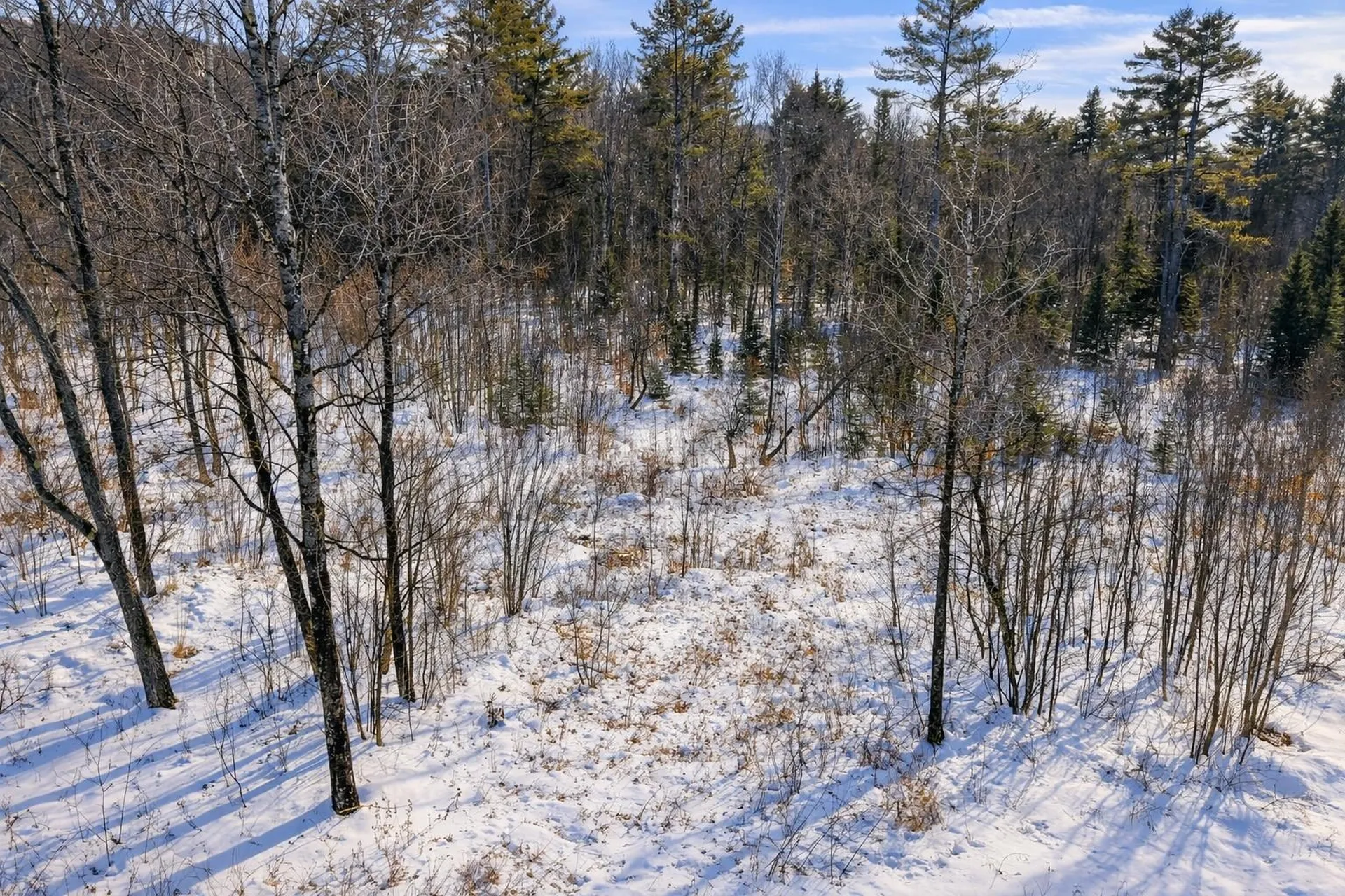 132 Wheeler Lane Lempster NH 03605