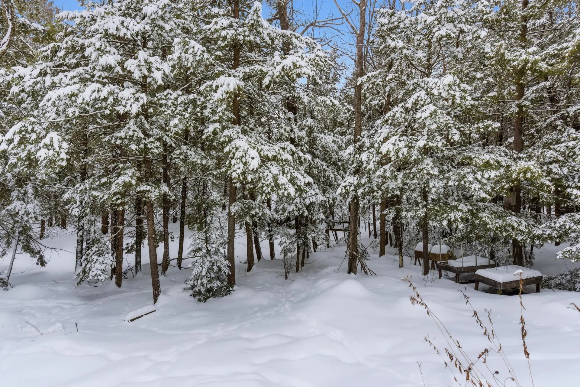 48 Huntington Drive Hillsborough NH 03244