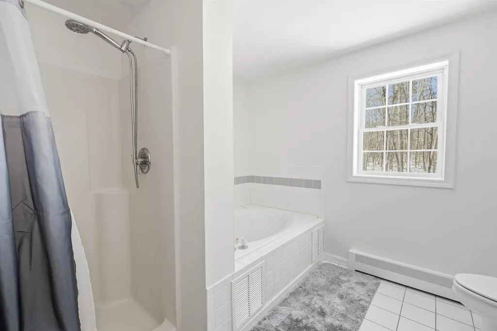 58 Orcutt Drive Chester NH 03036