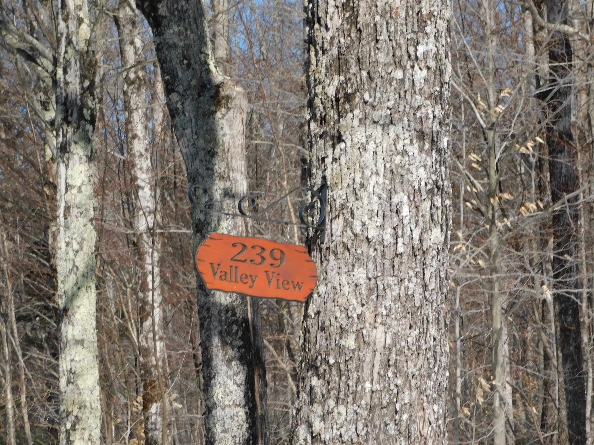 239 Valley View Road Dover VT 05356