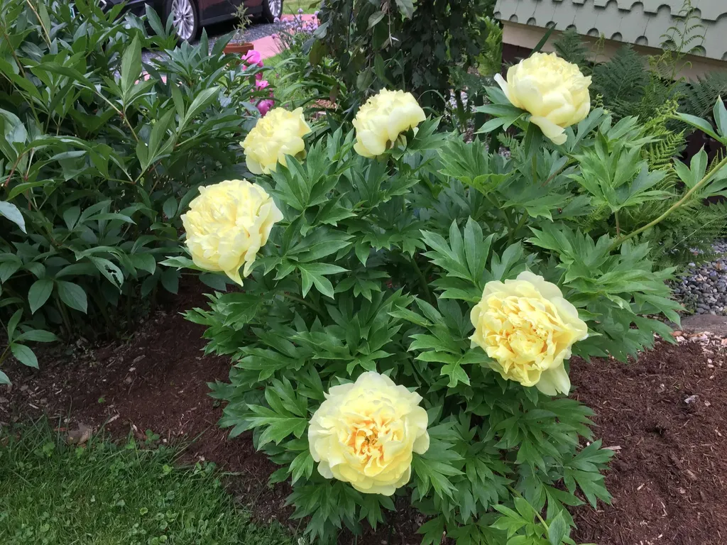 3 Prospect Avenue Randolph VT 05060